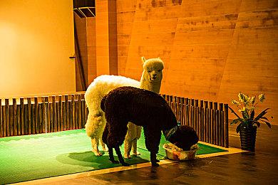 冰霜巨人RTS游戏《Stormgate》正式公布 免费、登陆Steam